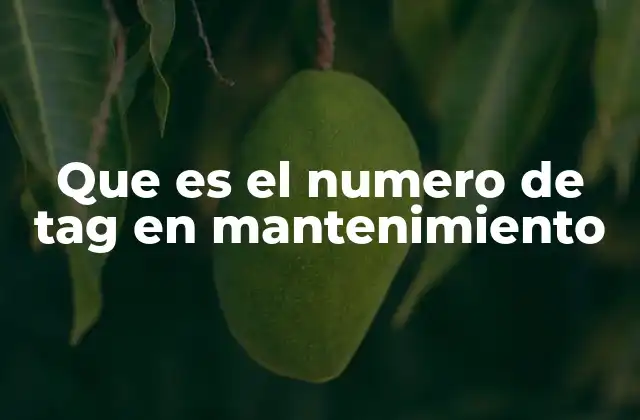 Que es el Numero de Tag en Mantenimiento