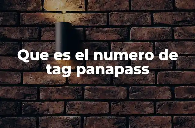 Que es el Numero de Tag Panapass