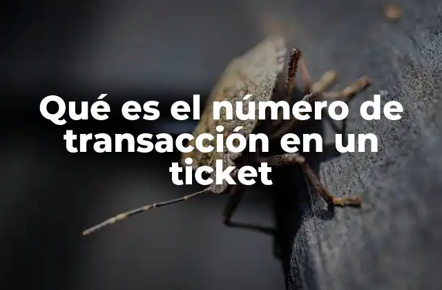 Qué es el Número de Transacción en un Ticket