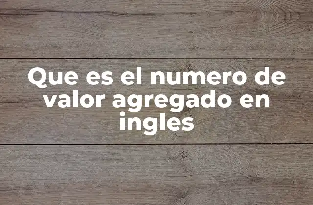 Que es el Numero de Valor Agregado en Ingles