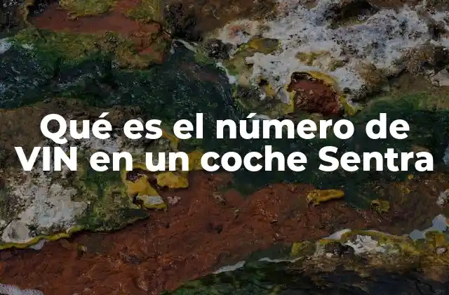 Qué es el Número de Vin en un Coche Sentra