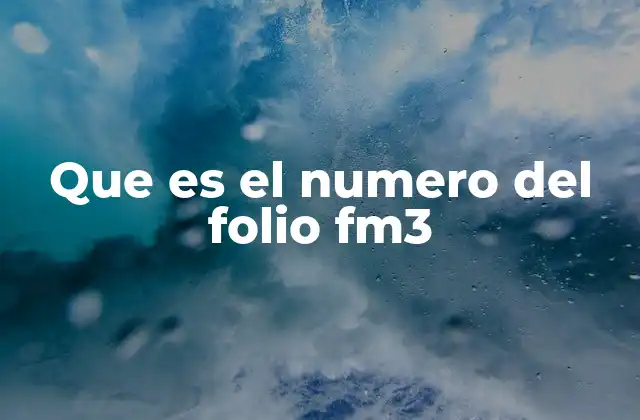 Que es el Numero Del Folio Fm3