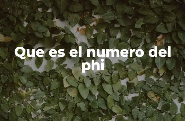 Que es el Numero Del Phi