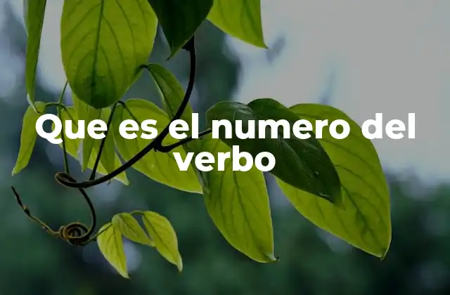 Que es el Numero Del Verbo