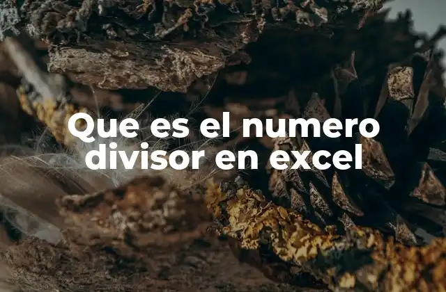 Que es el Numero Divisor en Excel