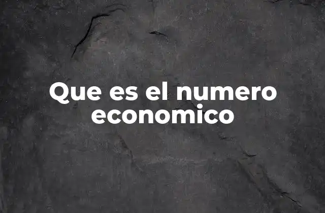 Que es el Numero Economico
