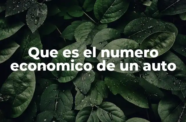 Que es el Numero Economico de un Auto