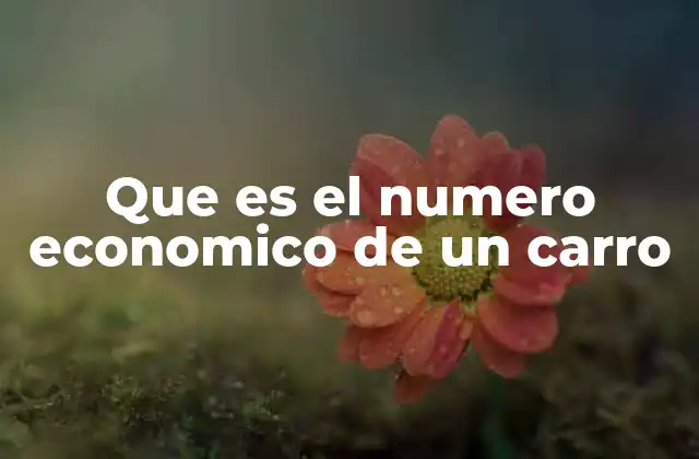 Que es el Numero Economico de un Carro