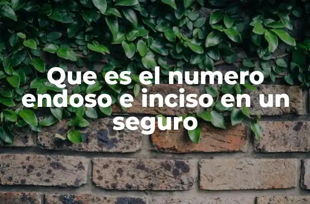 Que es el Numero Endoso e Inciso en un Seguro