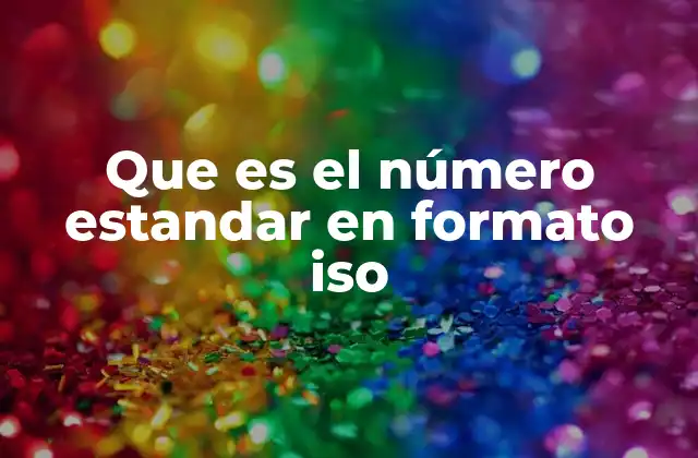 Que es el Número Estandar en Formato Iso