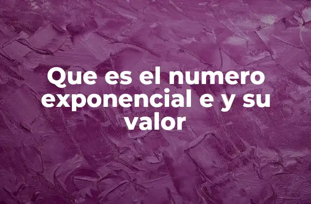 Que es el Numero Exponencial e y Su Valor