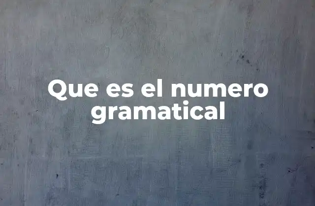 Que es el Numero Gramatical