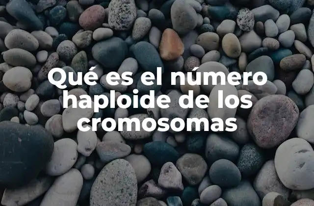 Qué es el Número Haploide de los Cromosomas