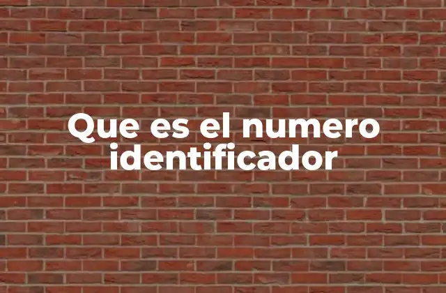 Que es el Numero Identificador