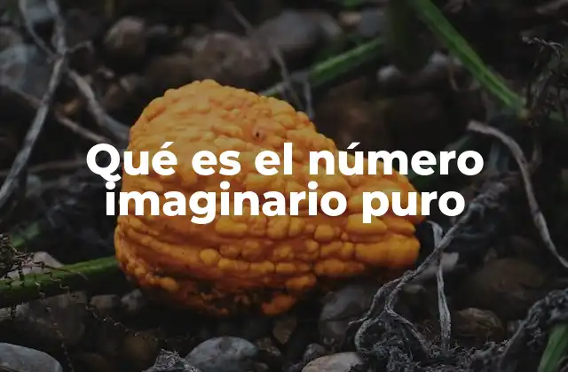 Qué es el Número Imaginario Puro 2 La base conceptual de los números imaginarios