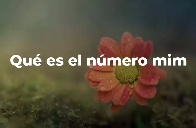Qué es el Número Mim