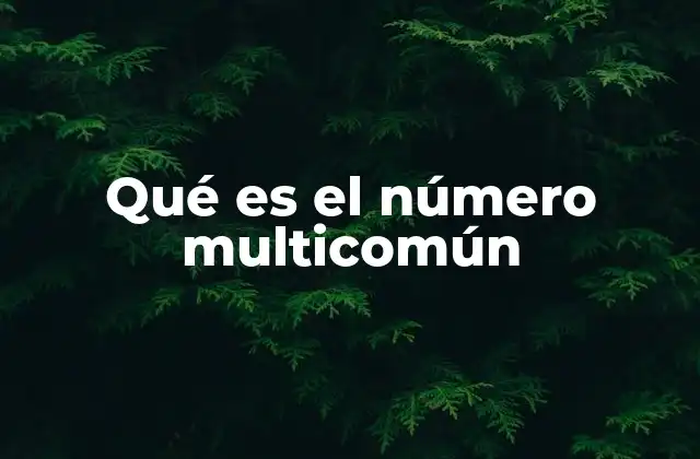 Qué es el Número Multicomún