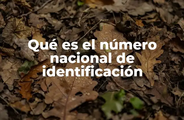 Qué es el Número Nacional de Identificación