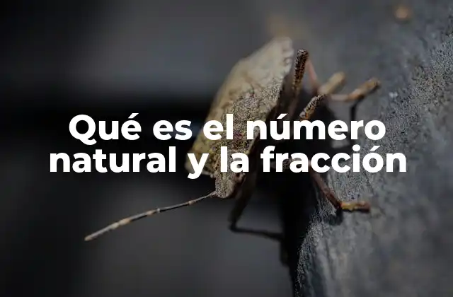 Qué es el Número Natural y la Fracción
