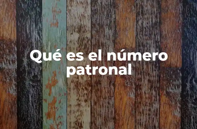 Qué es el Número Patronal 2 La importancia del número patronal en el sistema laboral