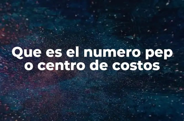 Que es el Numero Pep o Centro de Costos