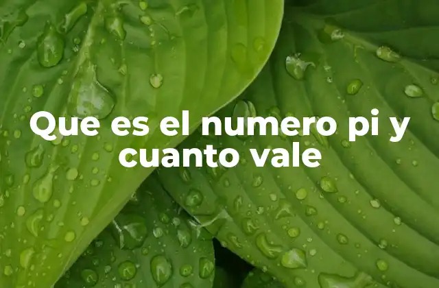 Que es el Numero Pi y Cuanto Vale
