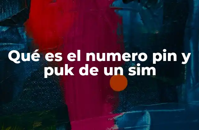 Qué es el Numero Pin y Puk de un Sim