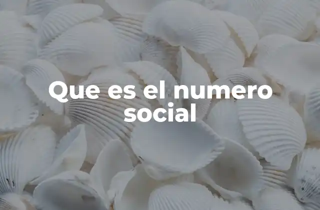 Que es el Numero Social