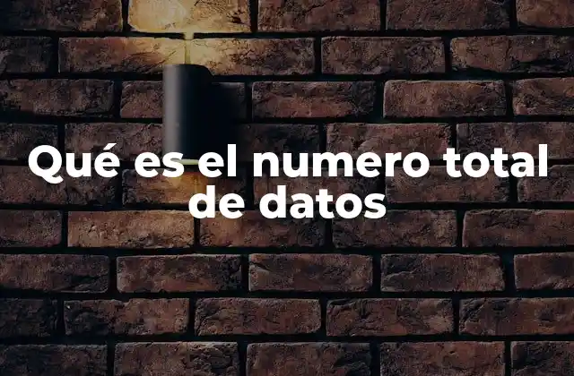 Qué es el Numero Total de Datos