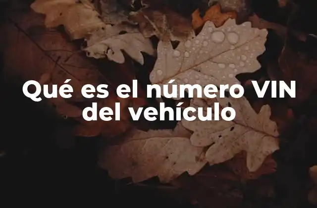 Qué es el Número Vin Del Vehículo
