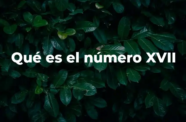 Qué es el Número Xvii