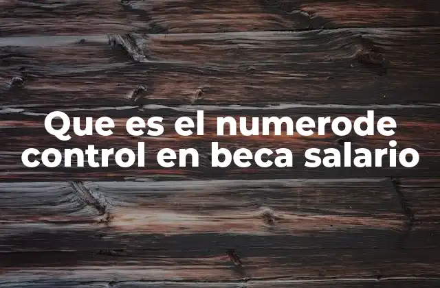 Que es el Numerode Control en Beca Salario 2 Importancia del número de control en la gestión de becas