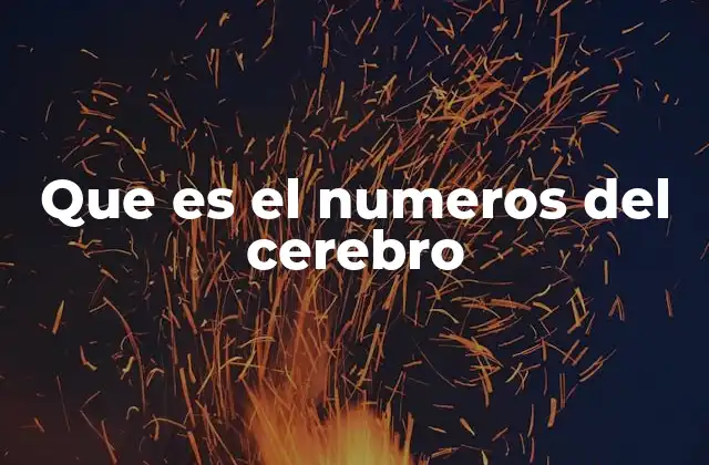 Que es el Numeros Del Cerebro