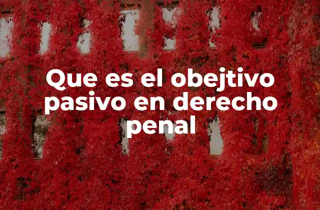 Que es el Obejtivo Pasivo en Derecho Penal