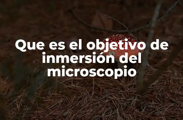 Que es el Objetivo de Inmersión Del Microscopio