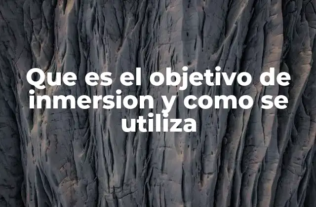 El poder de la experiencia inmersiva en la formación profesional