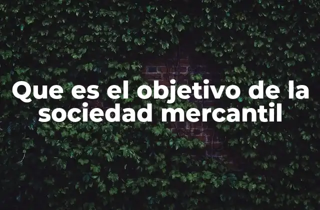 Que es el Objetivo de la Sociedad Mercantil