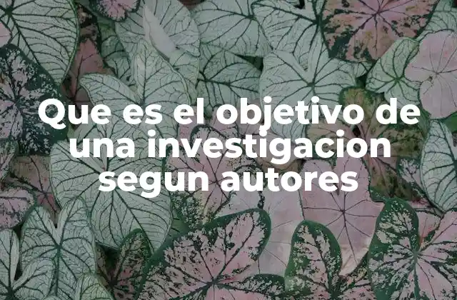 Que es el Objetivo de una Investigacion Segun Autores