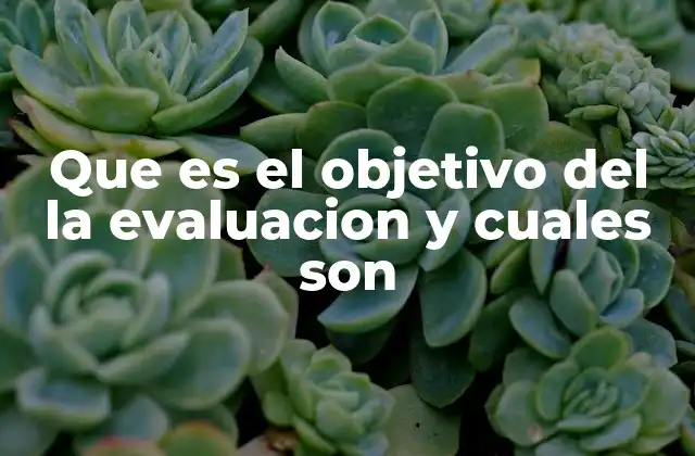 Que es el Objetivo Del la Evaluacion y Cuales Son