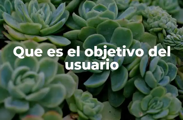 Que es el Objetivo Del Usuario