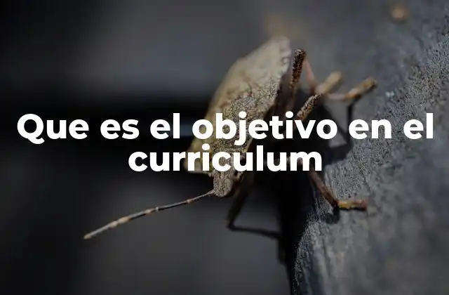 Que es el Objetivo en el Curriculum
