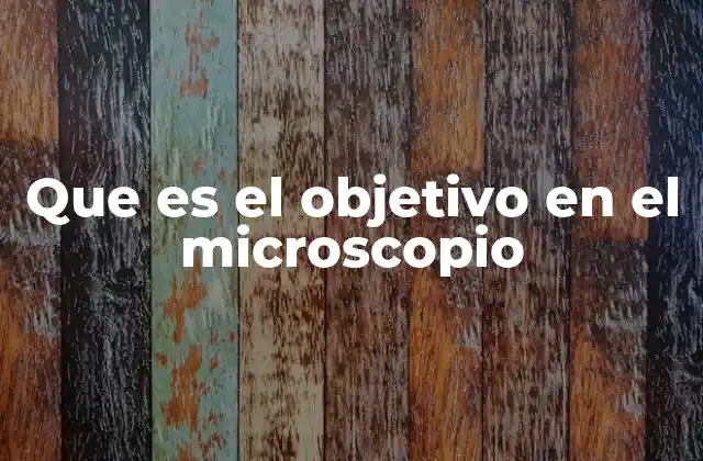 Que es el Objetivo en el Microscopio