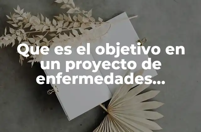 Que es el Objetivo en un Proyecto de Enfermedades Respiratorias