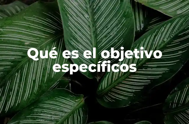 Qué es el Objetivo Específicos