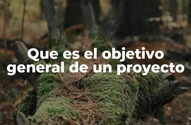 Que es el Objetivo General de un Proyecto