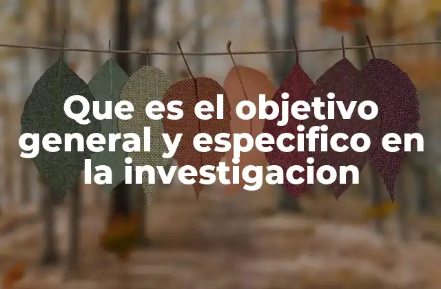 Que es el Objetivo General y Especifico en la Investigacion