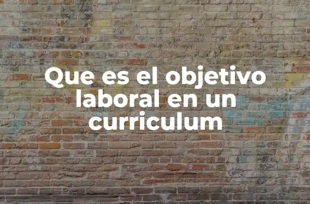 Que es el Objetivo Laboral en un Curriculum