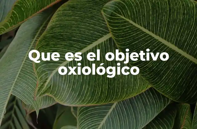 Que es el Objetivo Oxiológico