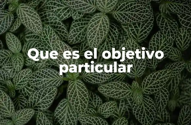 Que es el Objetivo Particular