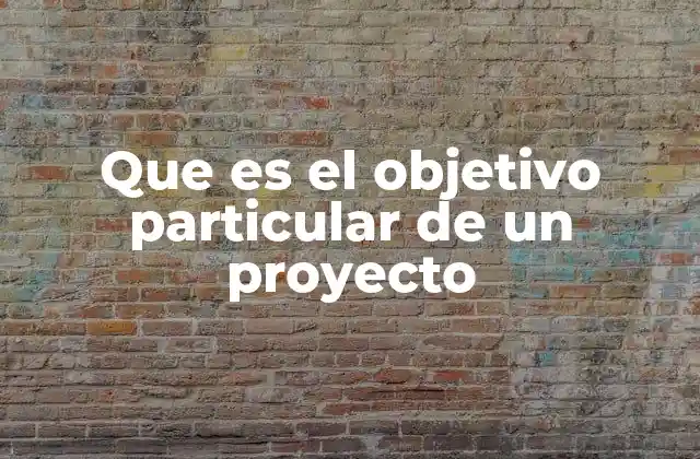 Que es el Objetivo Particular de un Proyecto